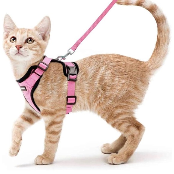 rabbittgoo Other - NWT Rabbit Goo cat leash and harness